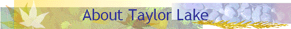 About Taylor Lake