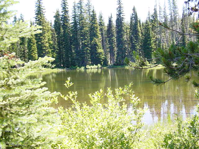 Alpine pond near the plateau