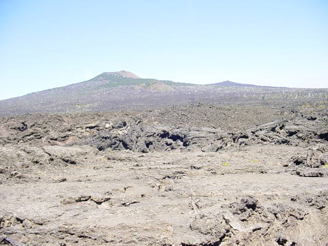 Lava field near the top